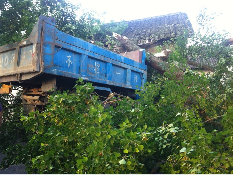 7月11日 傍晚 栗木大石桥车祸。178 / 作者:变态的反应 / 帖子ID:21884