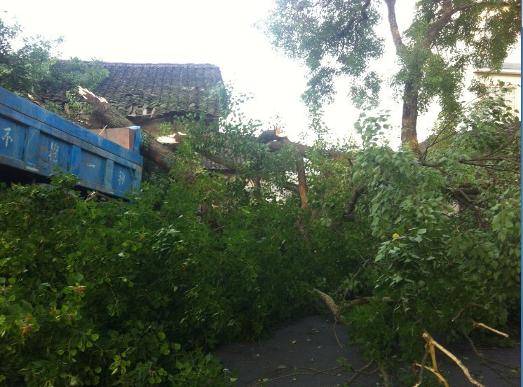 7月11日 傍晚 栗木大石桥车祸。189 / 作者:变态的反应 / 帖子ID:21884