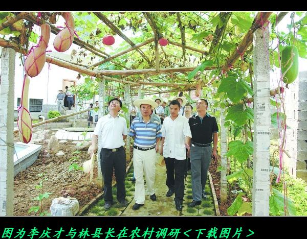 广西决定将我县平安社山作重点开发。732 / 作者:平安大叔 / 帖子ID:21931