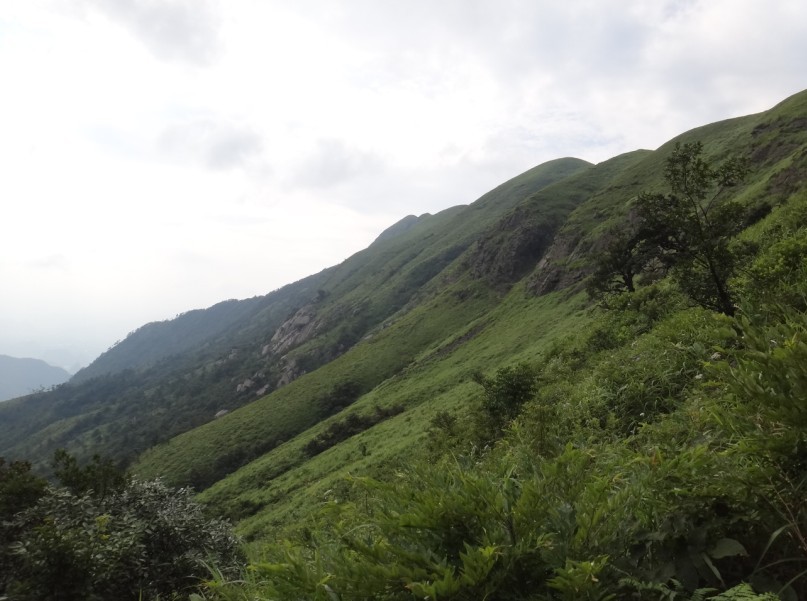 燕子山偶遇，当贺州520偶遇恭城520（多p随拍)430 / 作者:怪_兽_㊣ / 帖子ID:22093