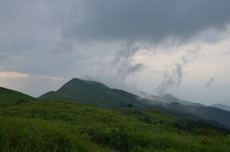 燕子山偶遇，当贺州520偶遇恭城520（多p随拍)447 / 作者:怪_兽_㊣ / 帖子ID:22093