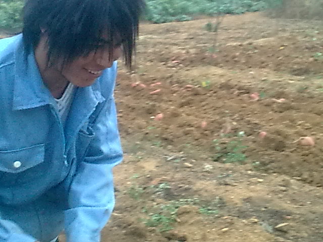 八弟用牛《去年11月用唻怪手机拍的》293 / 作者:十滴水 / 帖子ID:22138