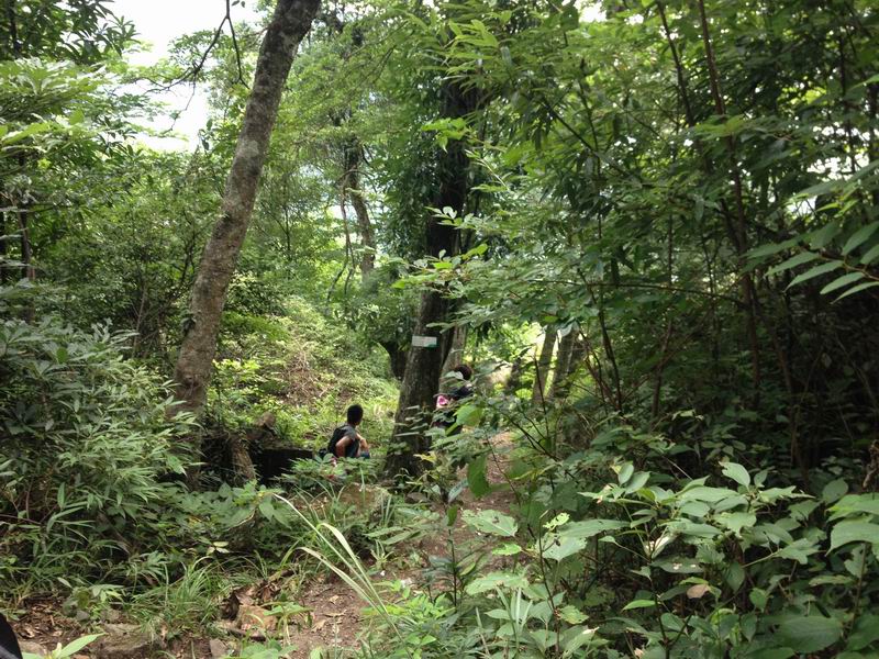 狂风暴雨燕子山169 / 作者:斯巴达克斯 / 帖子ID:22225