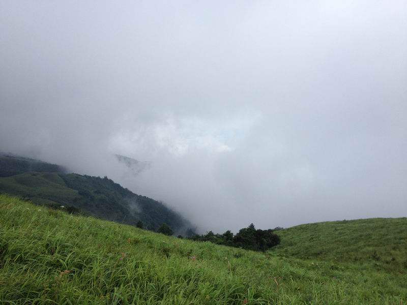 狂风暴雨燕子山795 / 作者:斯巴达克斯 / 帖子ID:22225