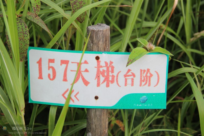 狂风暴雨燕子山243 / 作者:斯巴达克斯 / 帖子ID:22225