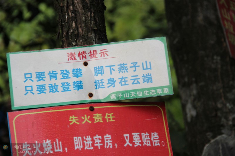 狂风暴雨燕子山480 / 作者:斯巴达克斯 / 帖子ID:22225