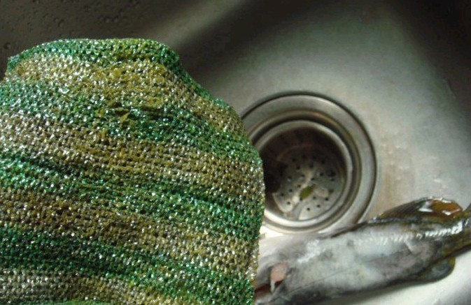 这年头，什么都见过，你见过染色黄翅骨没？107 / 作者:瑶族老 / 帖子ID:22654