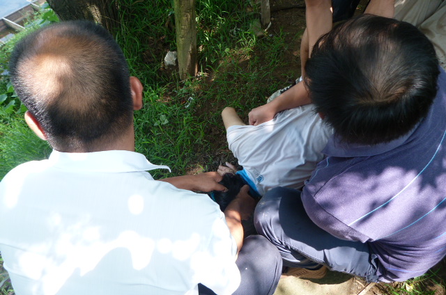 加会大桥跳水者身亡533 / 作者:咖啡羊 / 帖子ID:23735