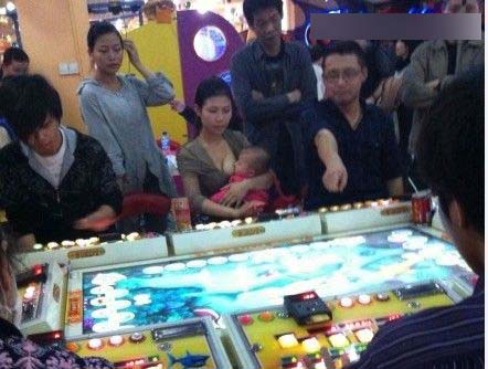 加会抓赌包公交车运参赌人员（外围、现场）351 / 作者:桂鱼 / 帖子ID:24046