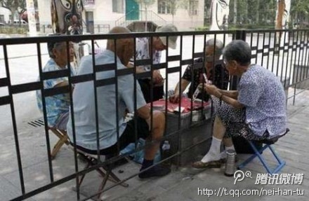 加会抓赌包公交车运参赌人员（外围、现场）331 / 作者:桂鱼 / 帖子ID:24046