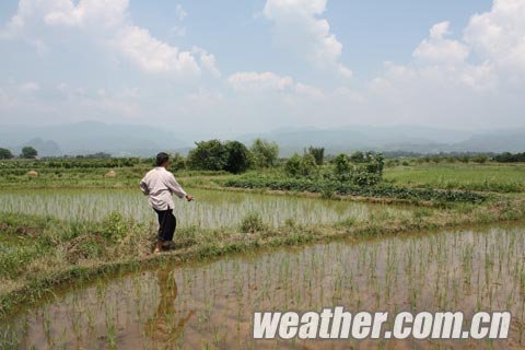 恭城一62岁农妇在田间劳作时遭雷击身亡（转帖）618 / 作者:懒猫猫 / 帖子ID:24238