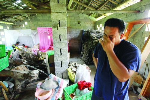 “让女儿的生命换种方式延续”走进王诺希273 / 作者:社区小编 / 帖子ID:35600