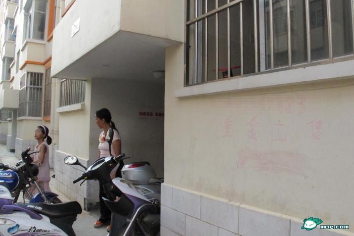 养父在劳务市场挂牌10万出售10岁养女，这是逆天哇？209 / 作者:翠峰紫阳 / 帖子ID:36901