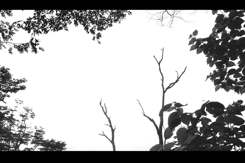 我的车友们。89 / 作者:講不醜 / 帖子ID:37450