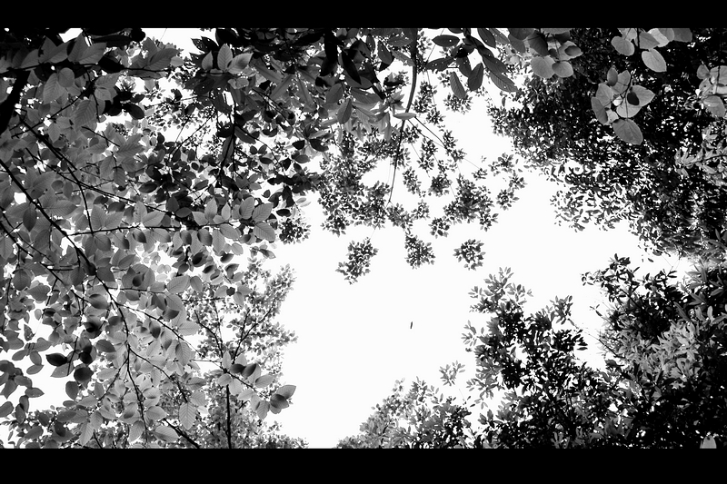 我的车友们。445 / 作者:講不醜 / 帖子ID:37450
