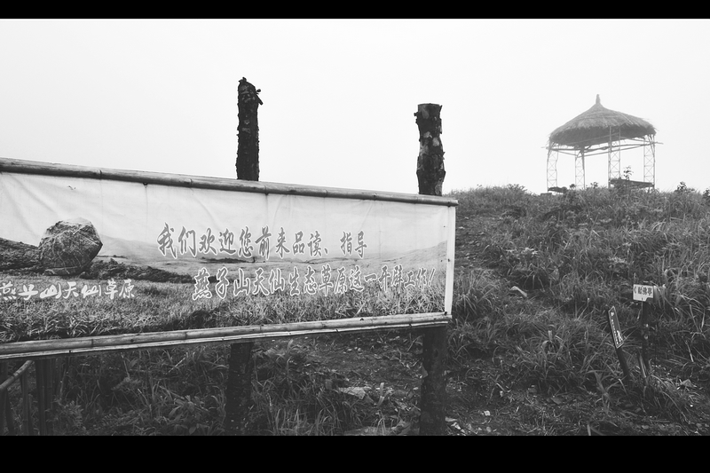 我的车友们。493 / 作者:講不醜 / 帖子ID:37450