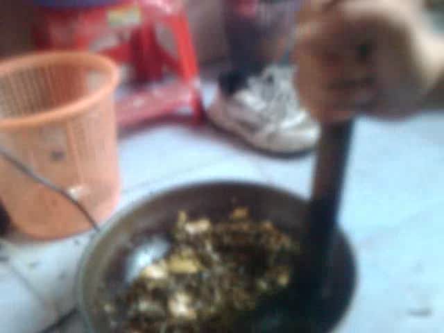 在深圳出租房打油茶的岁月里885 / 作者:明天 / 帖子ID:38006