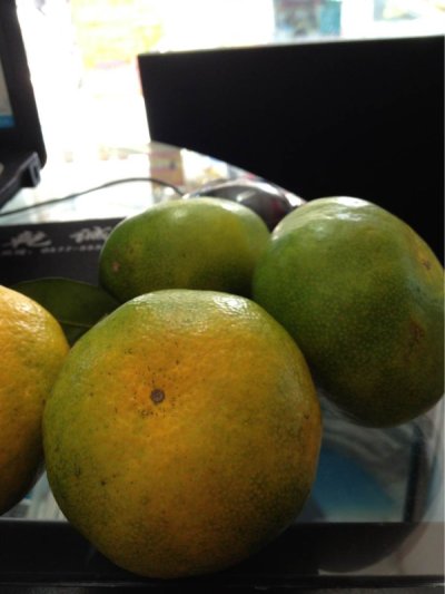 灰常高兴  今天得了100分  (*^__^*) 嘻嘻……434 / 作者:小雨点 / 帖子ID:48501