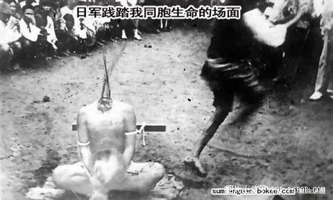 日本在中国犯下的犯下的滔天罪行511 / 作者:社区小编 / 帖子ID:54452