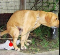 抗日，我们一直在行动，恭城人也要顶起！！！354 / 作者:钱是今生 / 帖子ID:54526