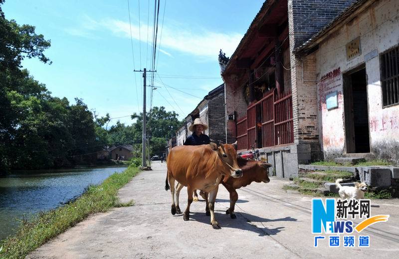 恭城有个清代建筑村442 / 作者:茶城路人 / 帖子ID:54788