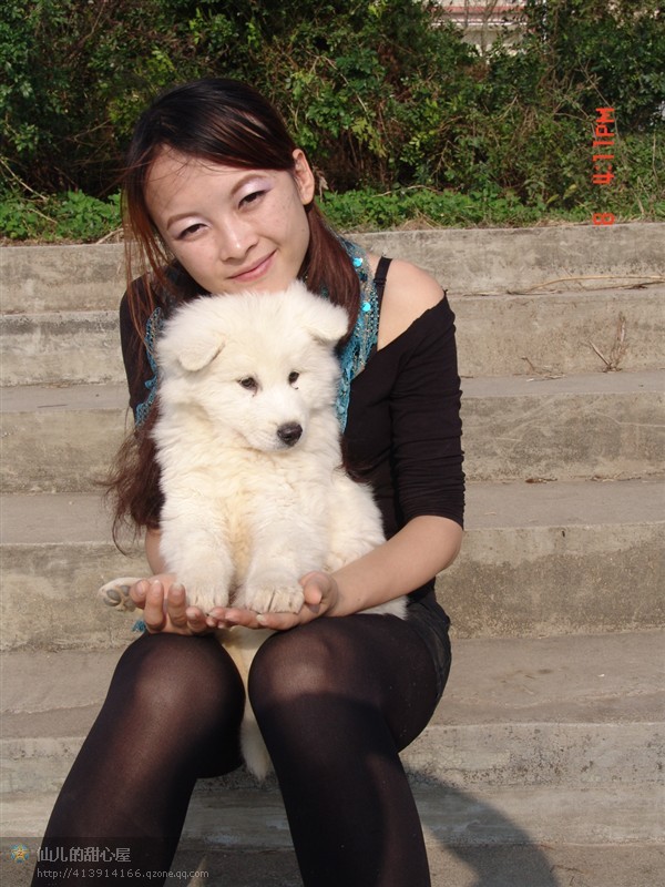 记爱犬-恭喜63 / 作者:成 成 / 帖子ID:55083