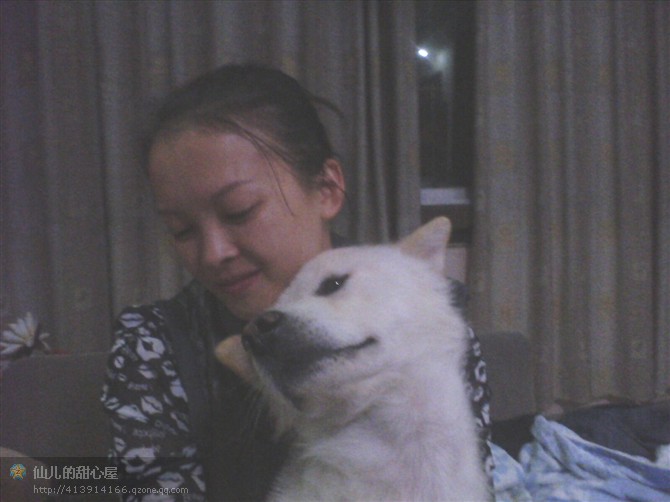 记爱犬-恭喜444 / 作者:成 成 / 帖子ID:55083