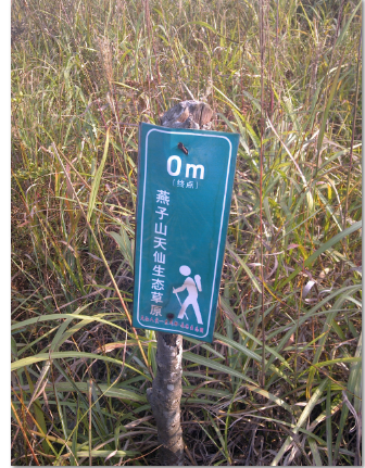 穿越燕子山(湖南上广西下)，圆满成功！有PP放PP，无PP送上文字.108 / 作者:xg007 / 帖子ID:55906