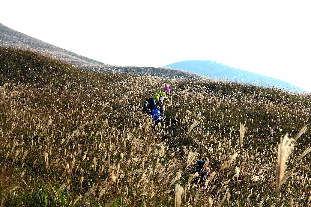 再走燕子山，  用脚步感受深秋的童话。。。。。。83 / 作者:人在旅途888 / 帖子ID:56841