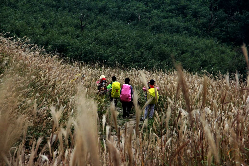 再走燕子山，  用脚步感受深秋的童话。。。。。。310 / 作者:人在旅途888 / 帖子ID:56841