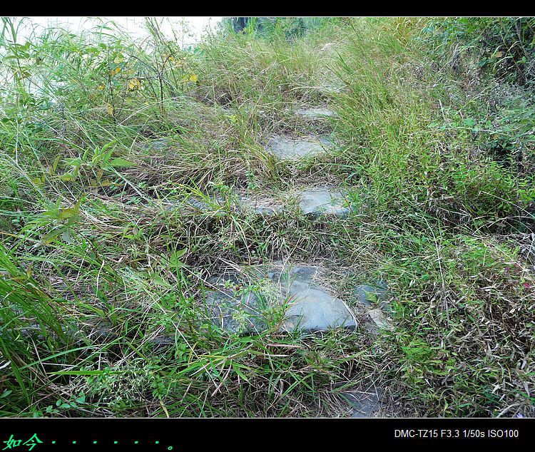 救救茶江河、救救茶马古道！965 / 作者:平安大叔 / 帖子ID:56938