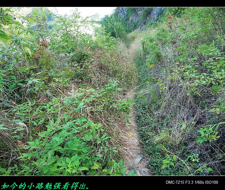 救救茶江河、救救茶马古道！754 / 作者:平安大叔 / 帖子ID:56938