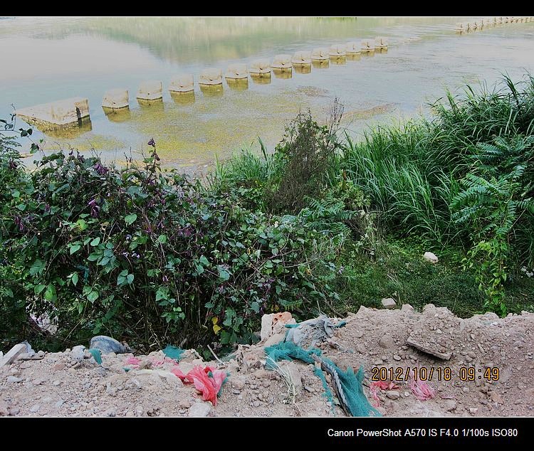 救救茶江河、救救茶马古道！33 / 作者:平安大叔 / 帖子ID:56938