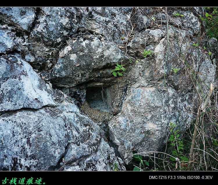 救救茶江河、救救茶马古道！481 / 作者:平安大叔 / 帖子ID:56938