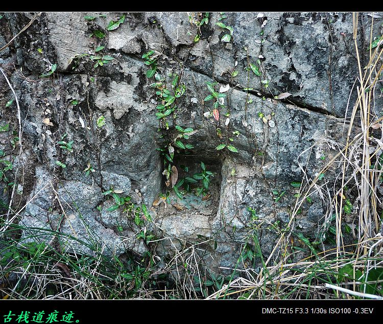 救救茶江河、救救茶马古道！239 / 作者:平安大叔 / 帖子ID:56938