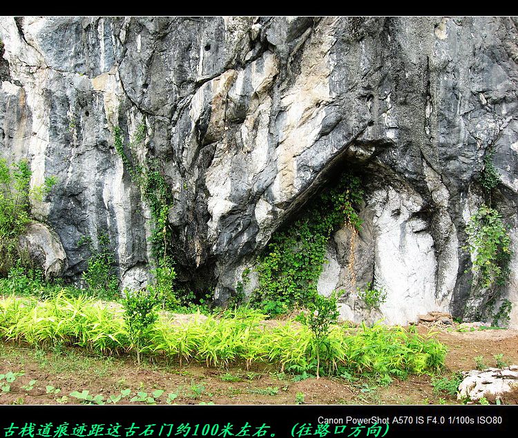 救救茶江河、救救茶马古道！511 / 作者:平安大叔 / 帖子ID:56938