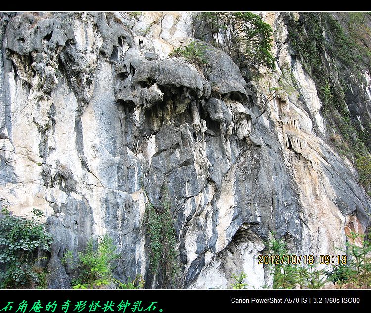 救救茶江河、救救茶马古道！91 / 作者:平安大叔 / 帖子ID:56938