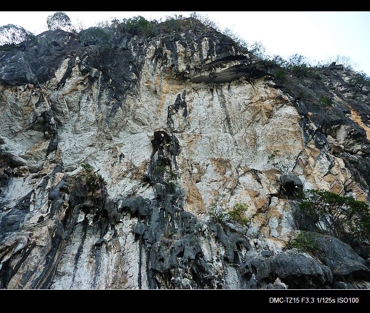 救救茶江河、救救茶马古道！874 / 作者:平安大叔 / 帖子ID:56938