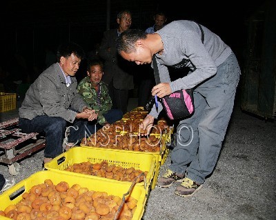 恭城独特夜间柿饼交易火爆993 / 作者:茶城路人 / 帖子ID:57093