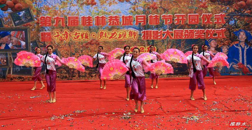 秋风送爽，柿子飘香，恭城月柿节开园！【花絮篇】312 / 作者:榄称水 / 帖子ID:57222