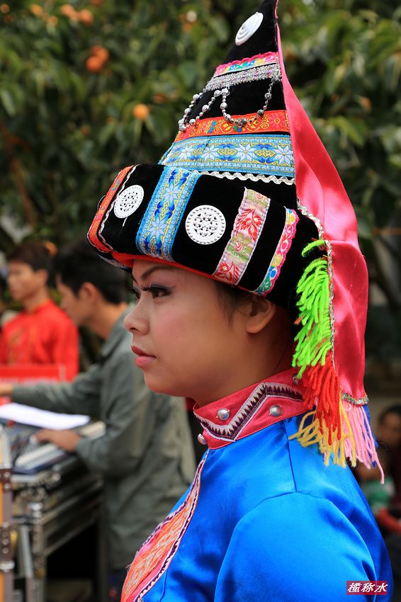 秋风送爽，柿子飘香，恭城月柿节开园！【花絮篇】803 / 作者:榄称水 / 帖子ID:57222