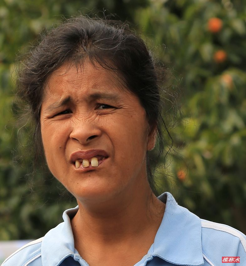 秋风送爽，柿子飘香，恭城月柿节开园！【花絮篇】187 / 作者:榄称水 / 帖子ID:57222