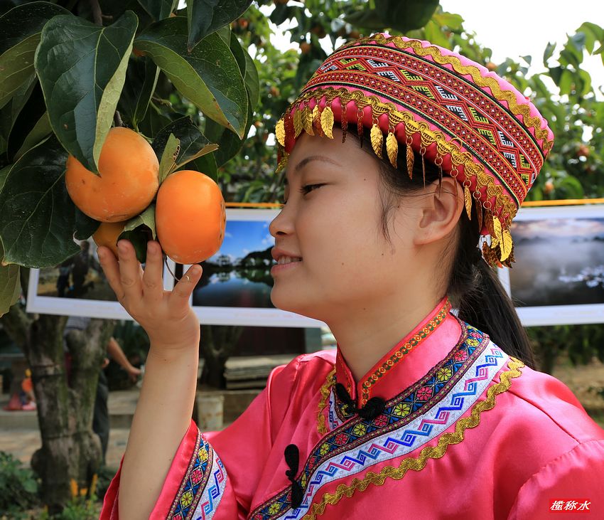 秋风送爽，柿子飘香，恭城月柿节开园！【花絮篇】891 / 作者:榄称水 / 帖子ID:57222