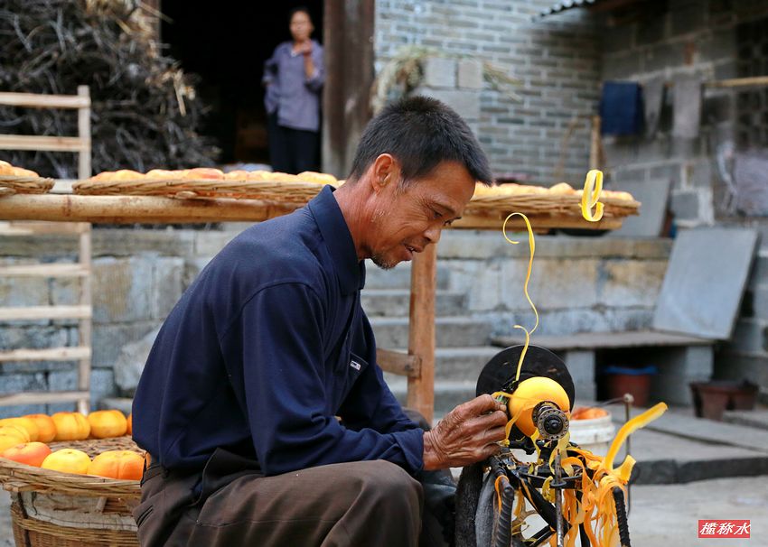 秋风送爽，柿子飘香【丰收篇】！793 / 作者:榄称水 / 帖子ID:57237