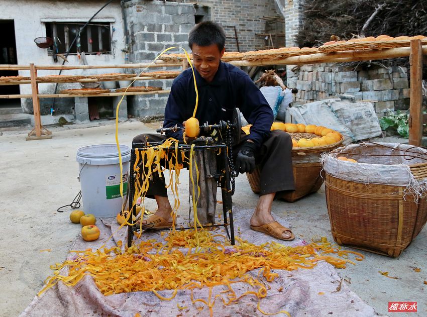 秋风送爽，柿子飘香【丰收篇】！201 / 作者:榄称水 / 帖子ID:57237