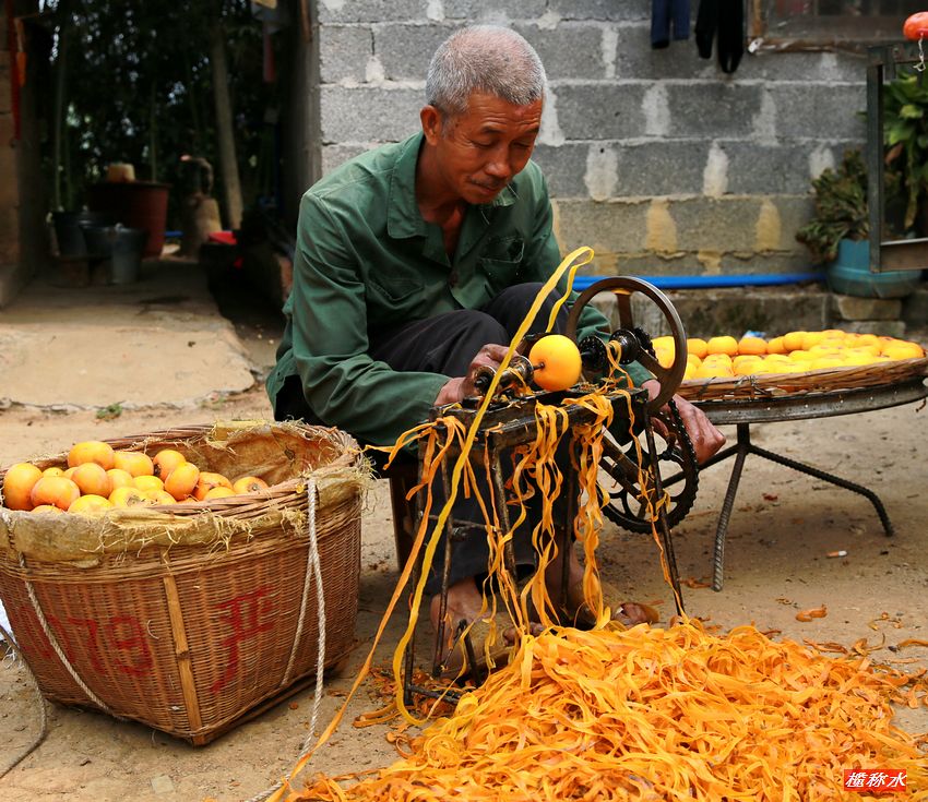 秋风送爽，柿子飘香【丰收篇】！263 / 作者:榄称水 / 帖子ID:57237