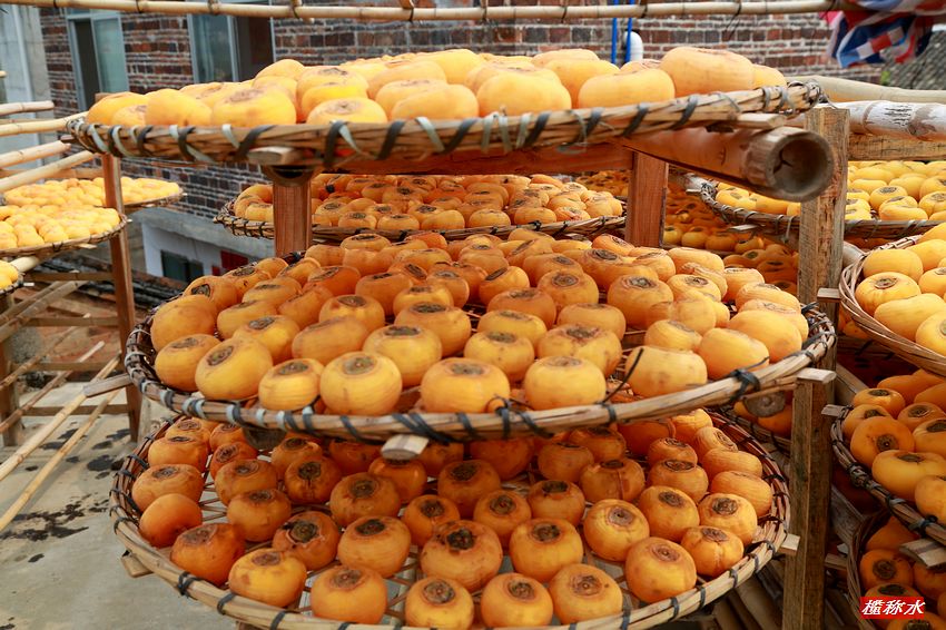 秋风送爽，柿子飘香【丰收篇】！770 / 作者:榄称水 / 帖子ID:57237