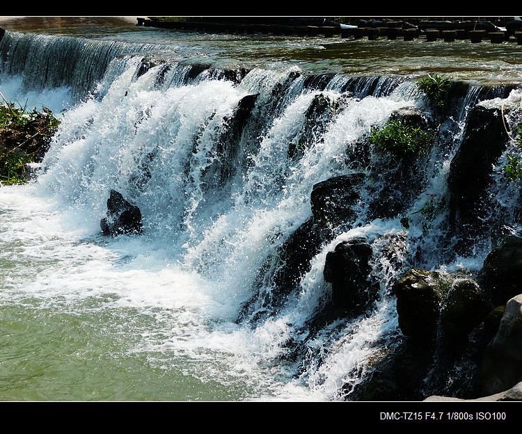 昨天在月柿节上拍的。210 / 作者:平安大叔 / 帖子ID:57343
