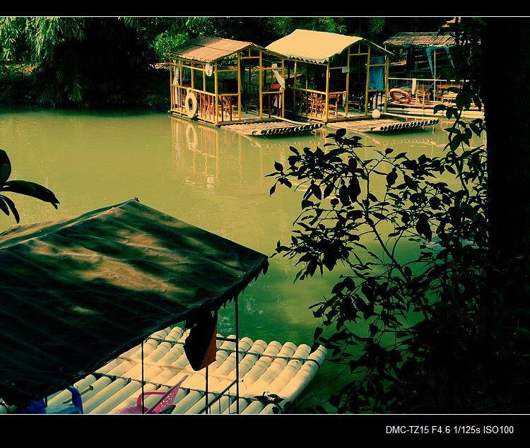 昨天在月柿节上拍的。943 / 作者:平安大叔 / 帖子ID:57343