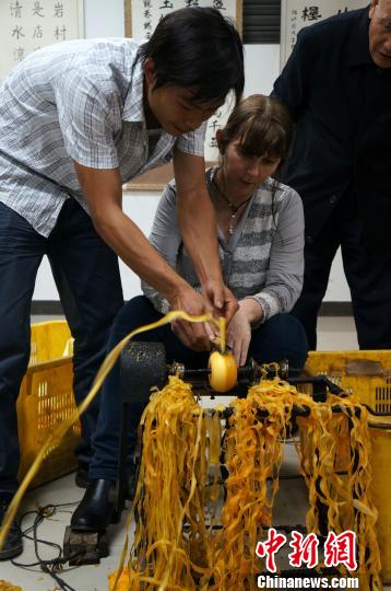 第五届国际柿学研讨会闭幕 专家热衷中式柿产品258 / 作者:社区小编 / 帖子ID:57349